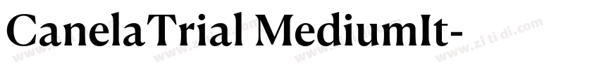 CanelaTrial MediumIt字体转换 CanelaTrial MediumIt字体转换